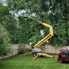 Leaf Removal in Babbitt, MN